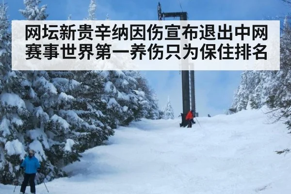 网坛新贵辛纳因伤宣布退出中网赛事世界第一养伤只为保住排名